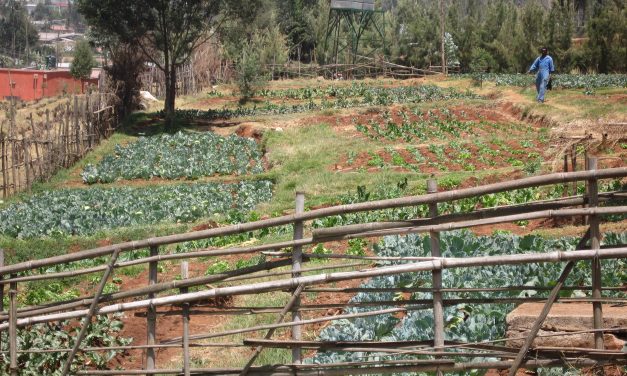 “Every school shall have a garden, a farmers market and a grocery store”